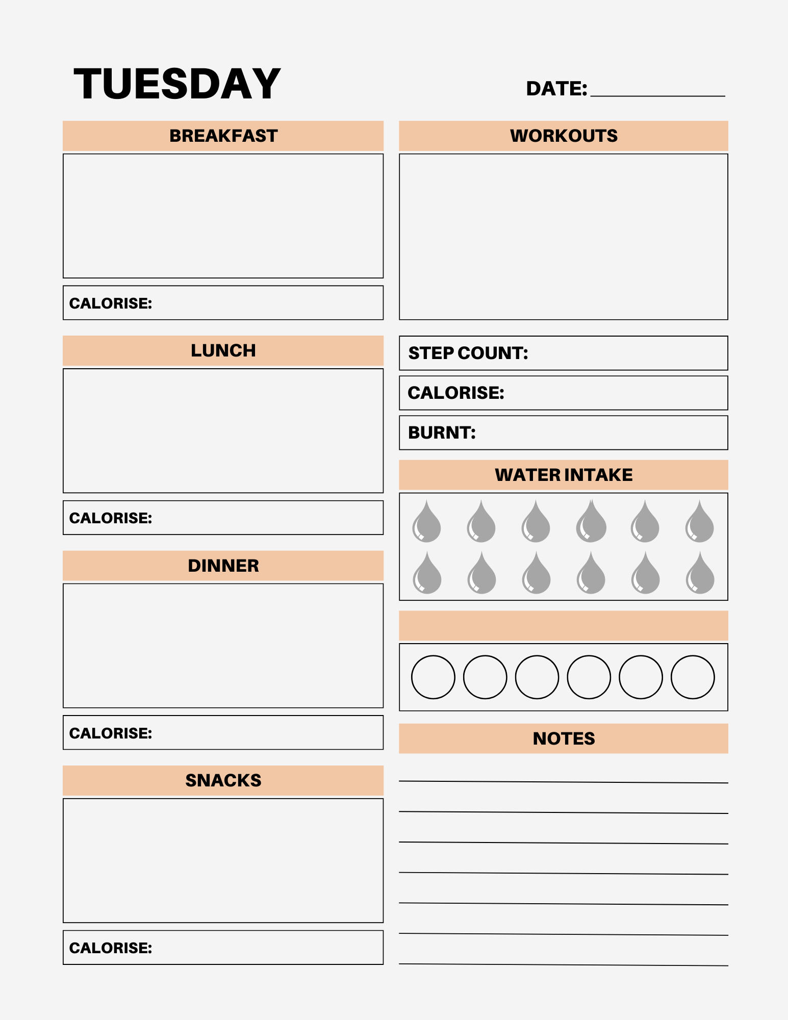 7 Day Color Food Diary