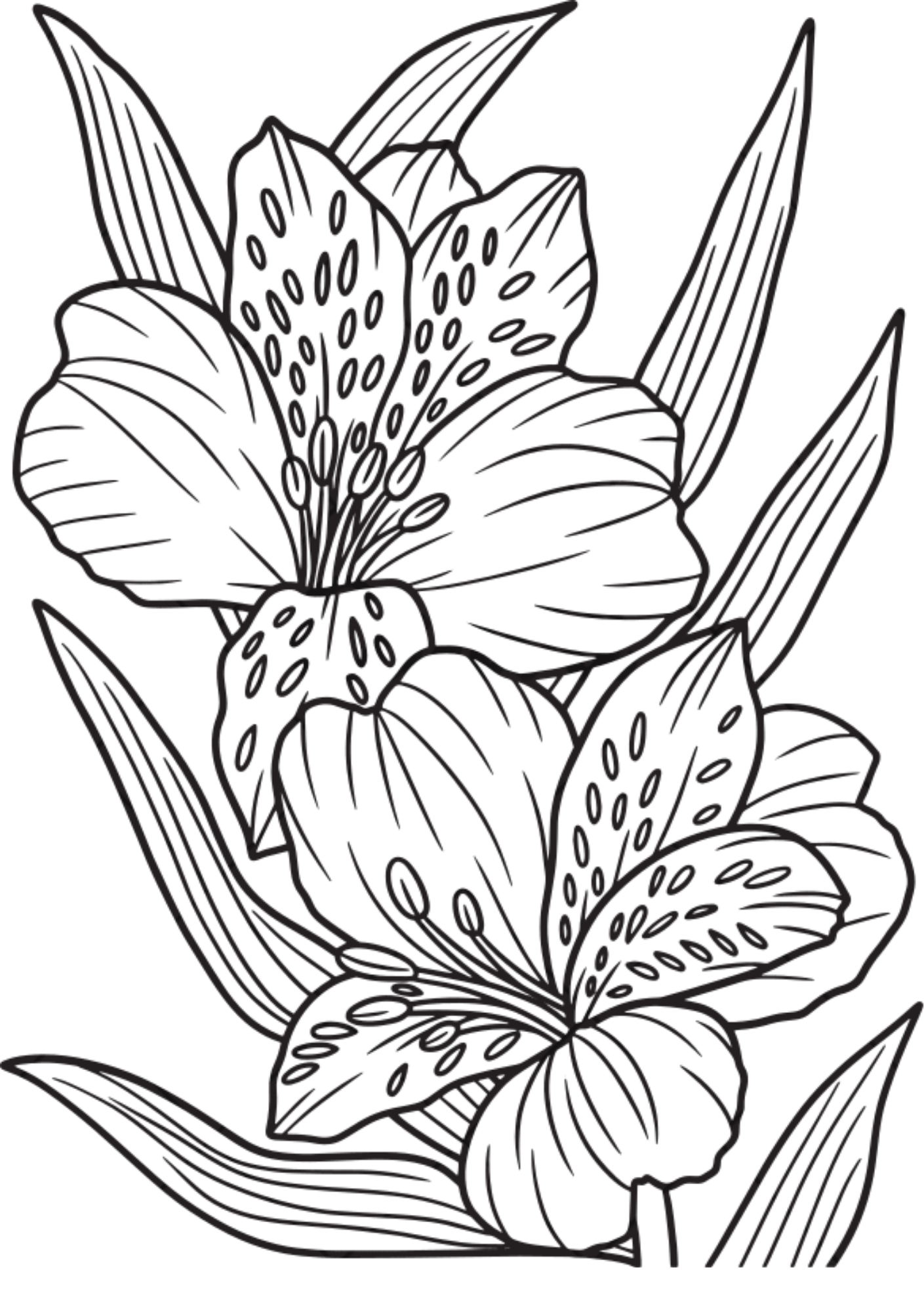 Vibrant Floral Coloring Set