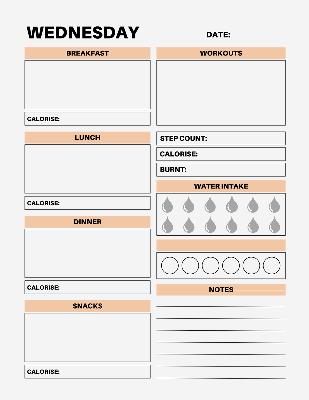 7 Day Color Food Diary