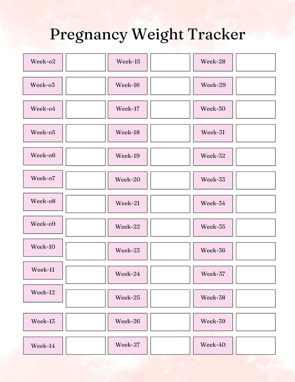 Pregnancy Essentials  Kit