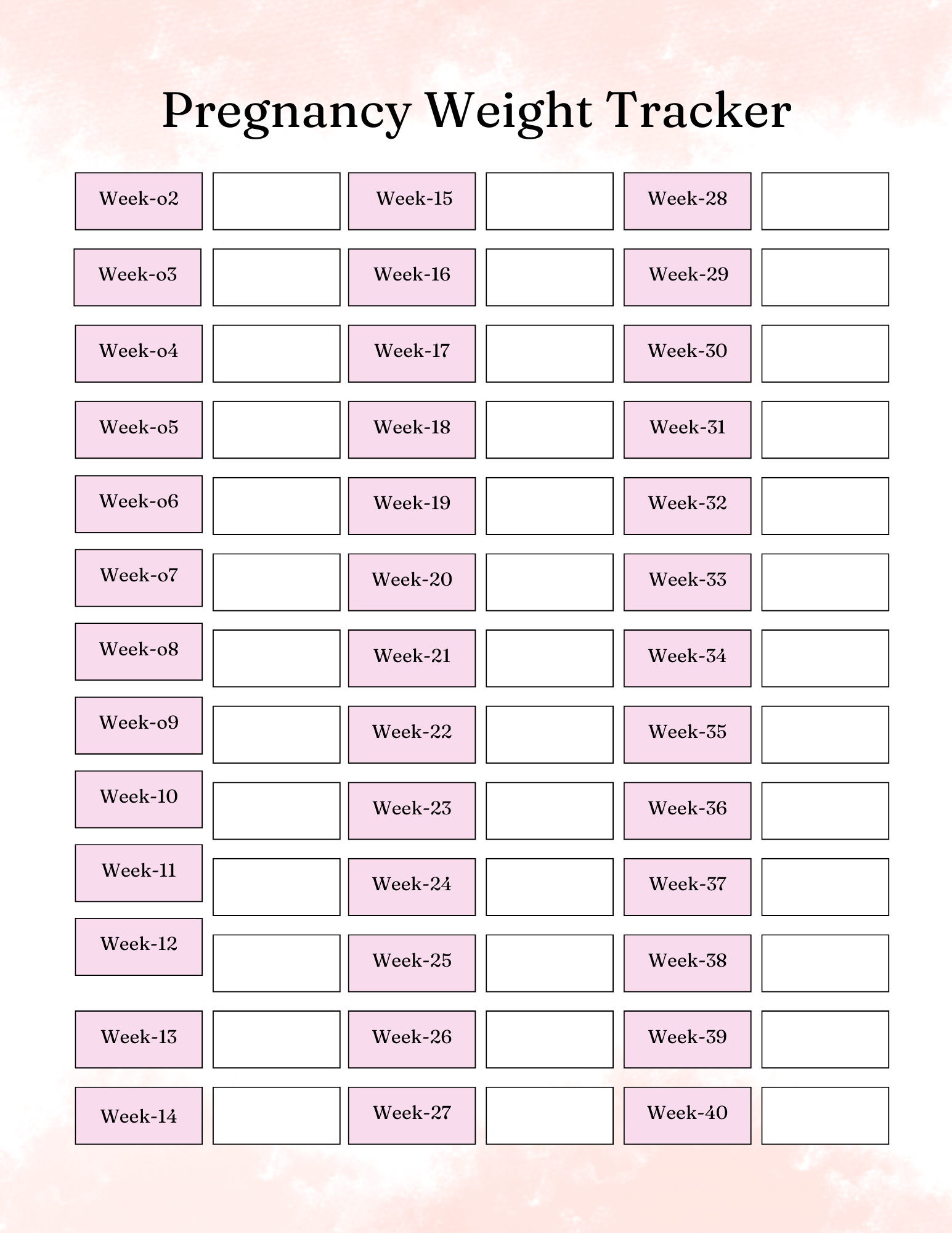 Pregnancy Essentials  Kit