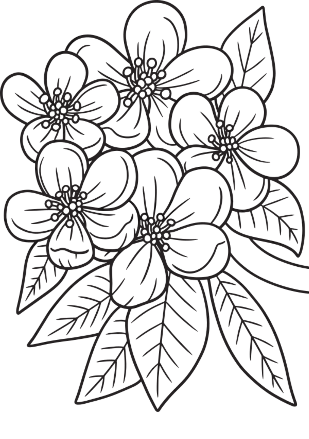 Vibrant Floral Coloring Set