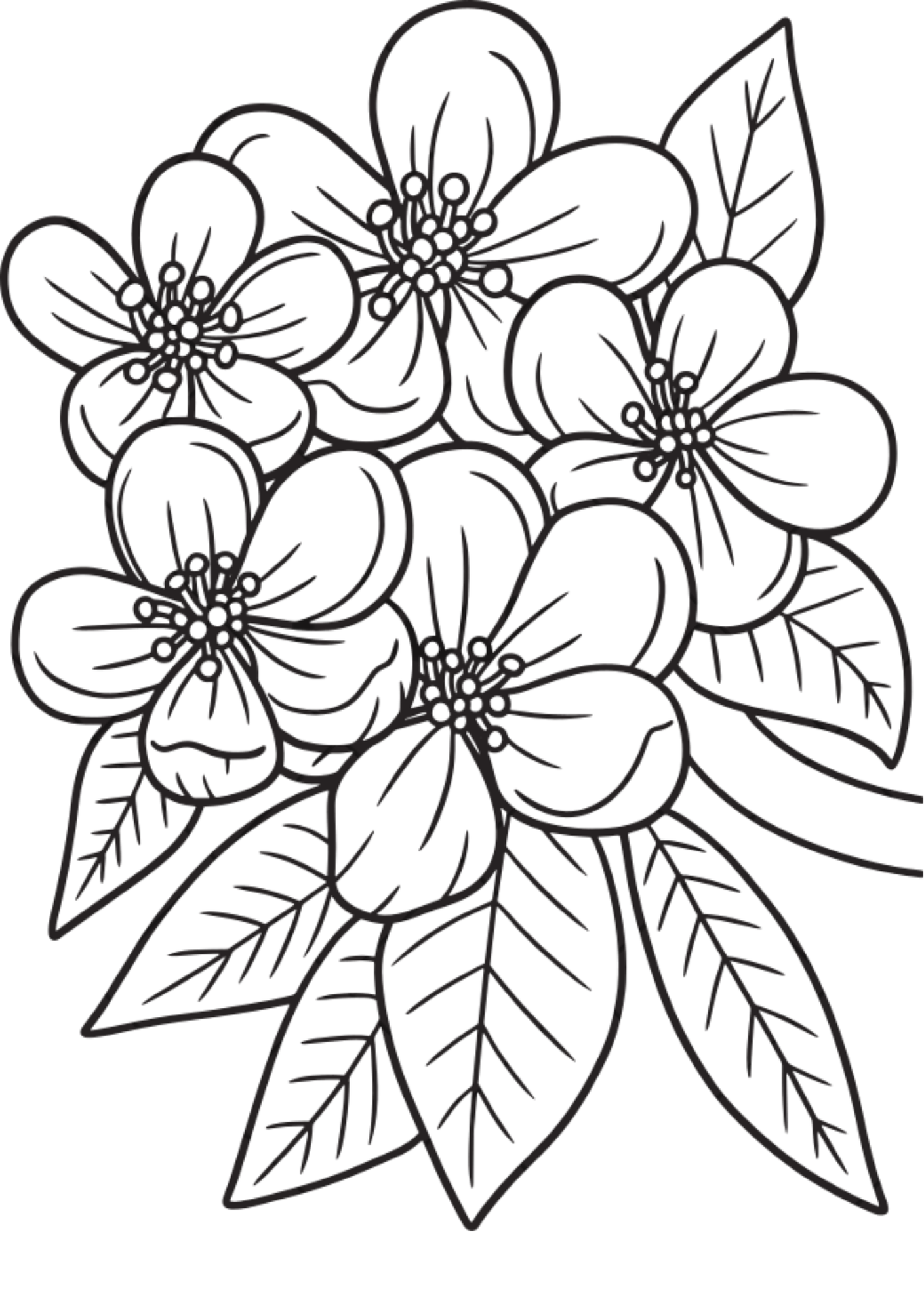 Vibrant Floral Coloring Set