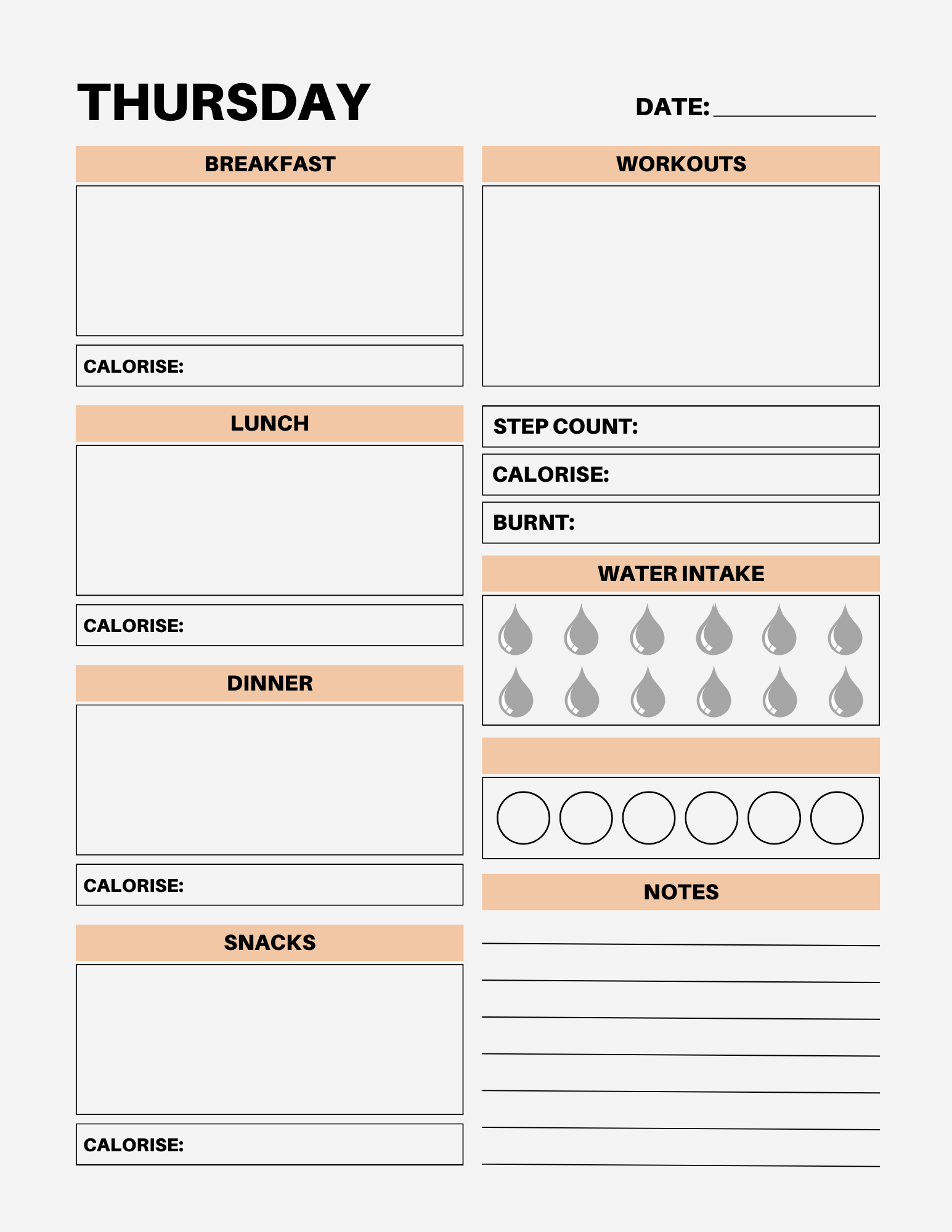 7 Day Color Food Diary