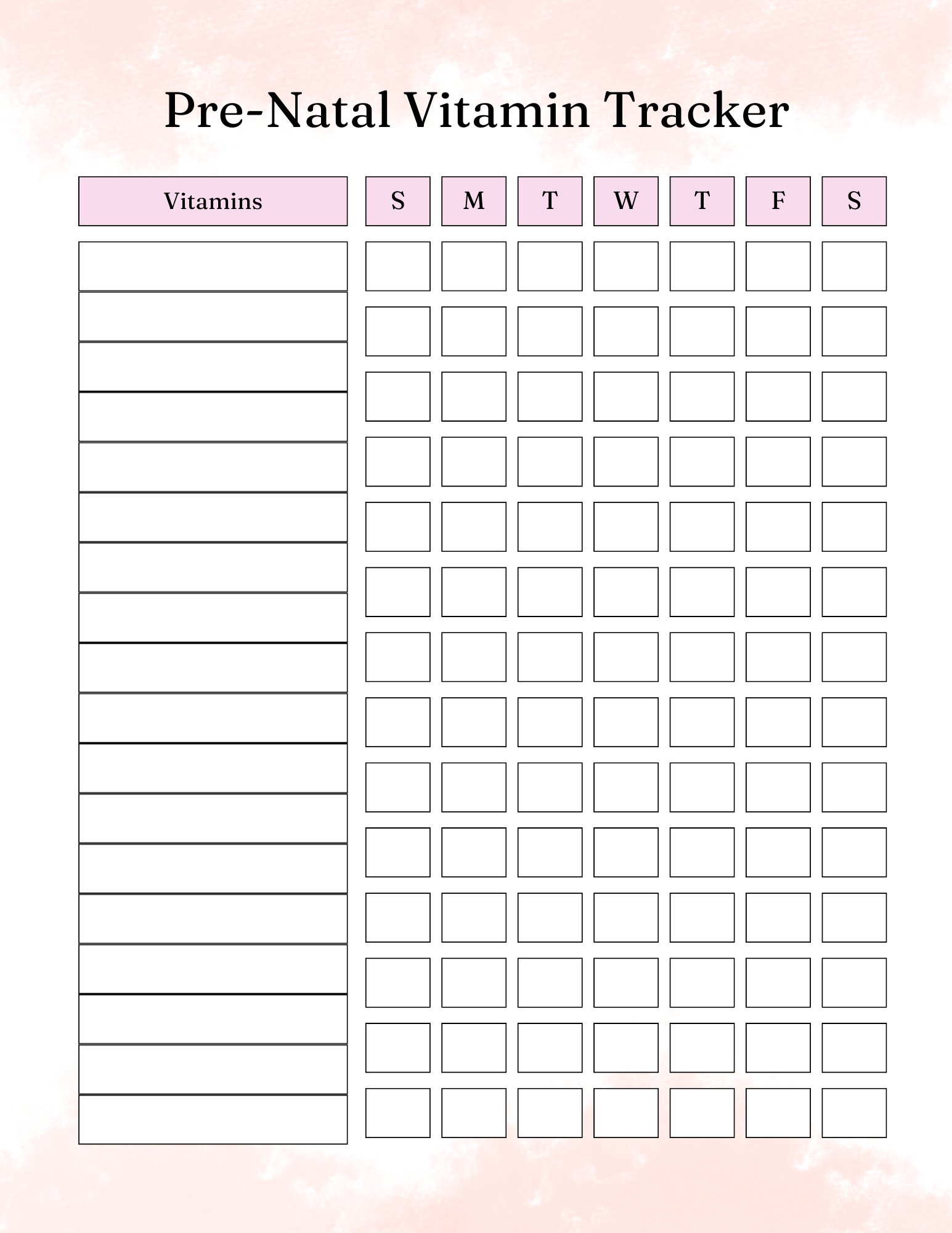 Pregnancy Essentials  Kit