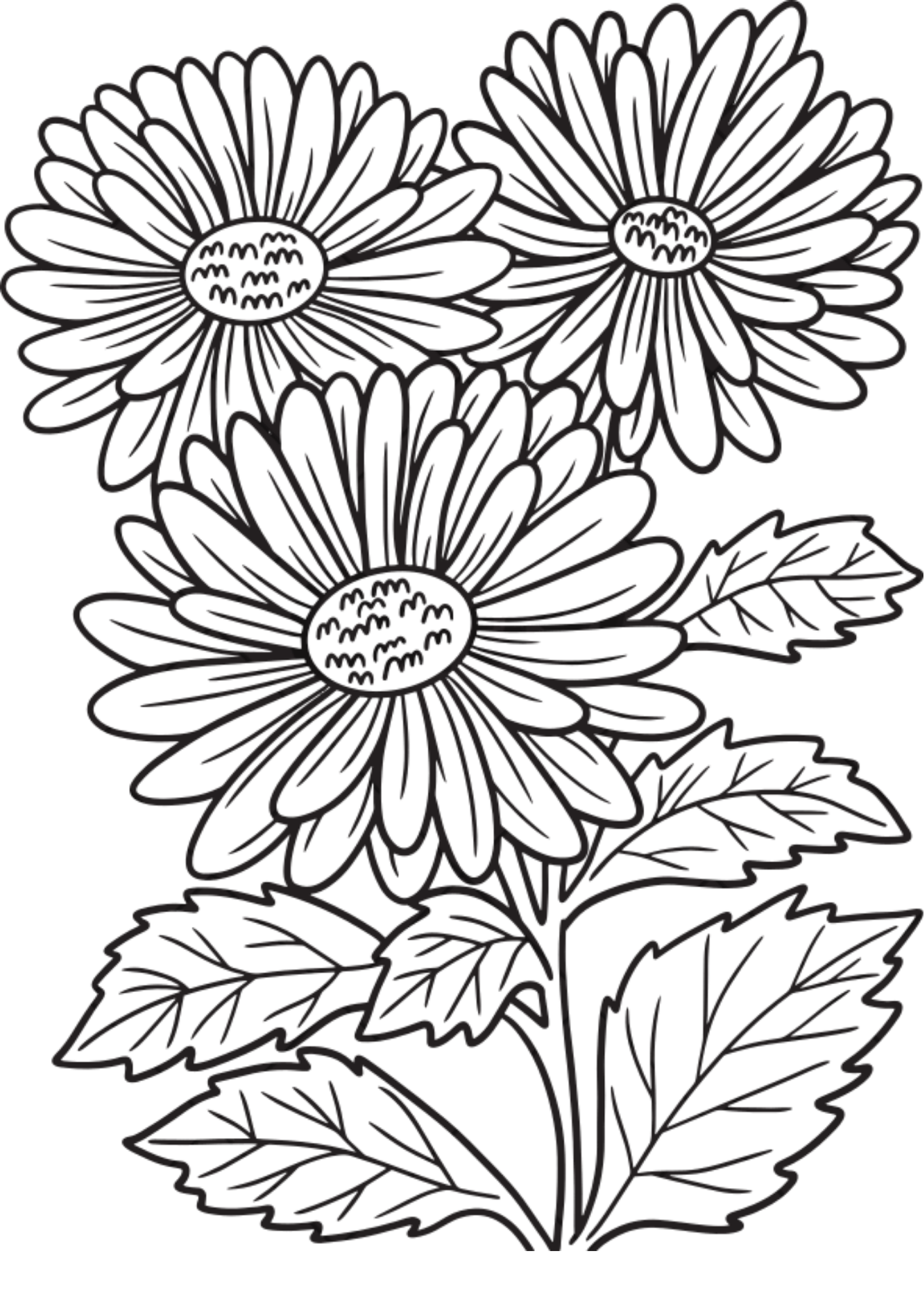 Vibrant Floral Coloring Set