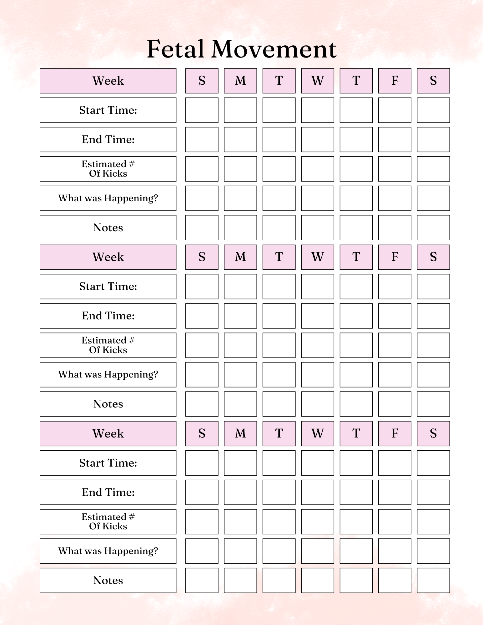 Pregnancy Essentials  Kit