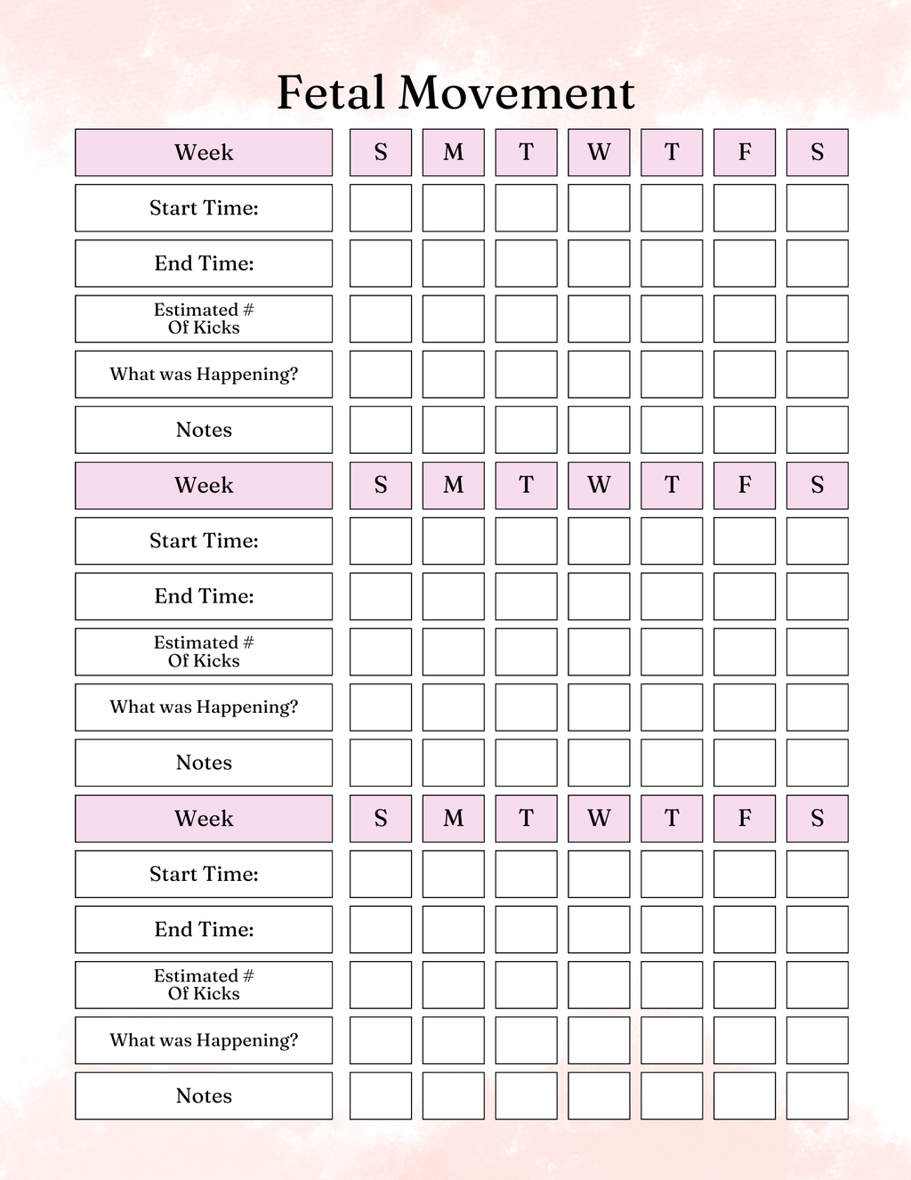 Pregnancy Essentials  Kit