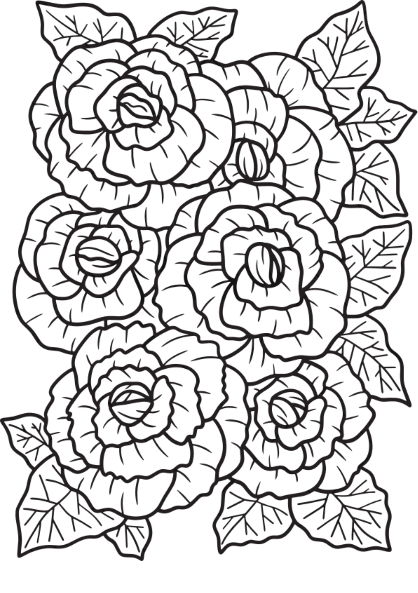 Vibrant Floral Coloring Set