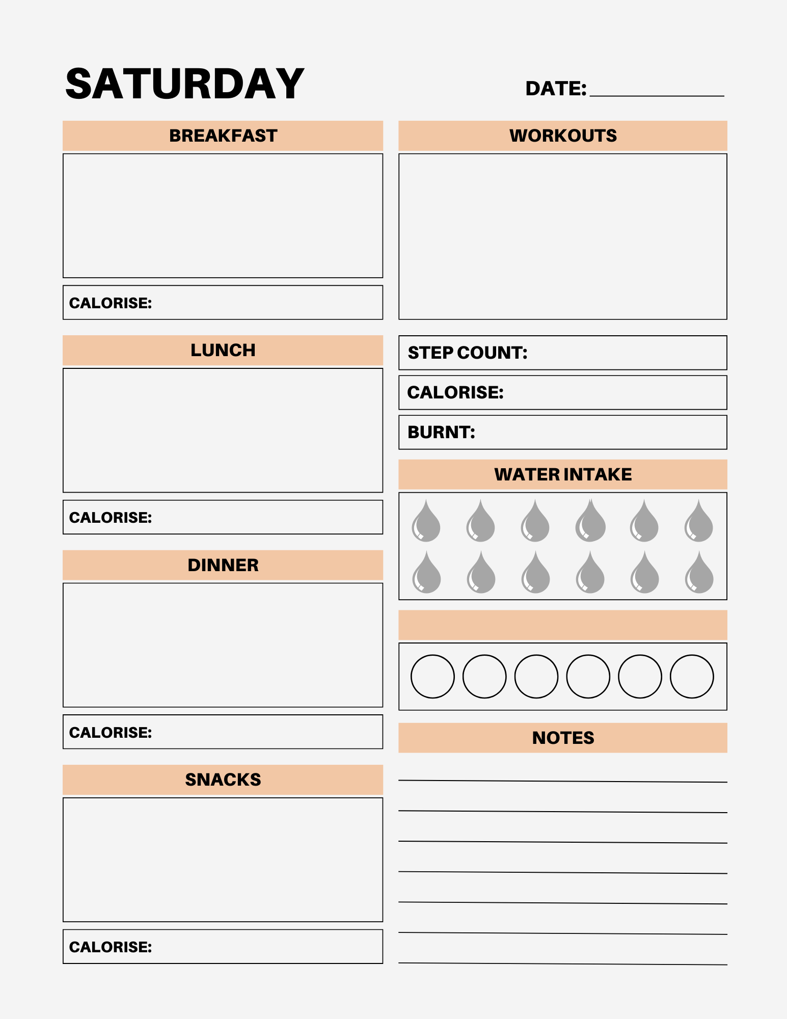 7 Day Color Food Diary