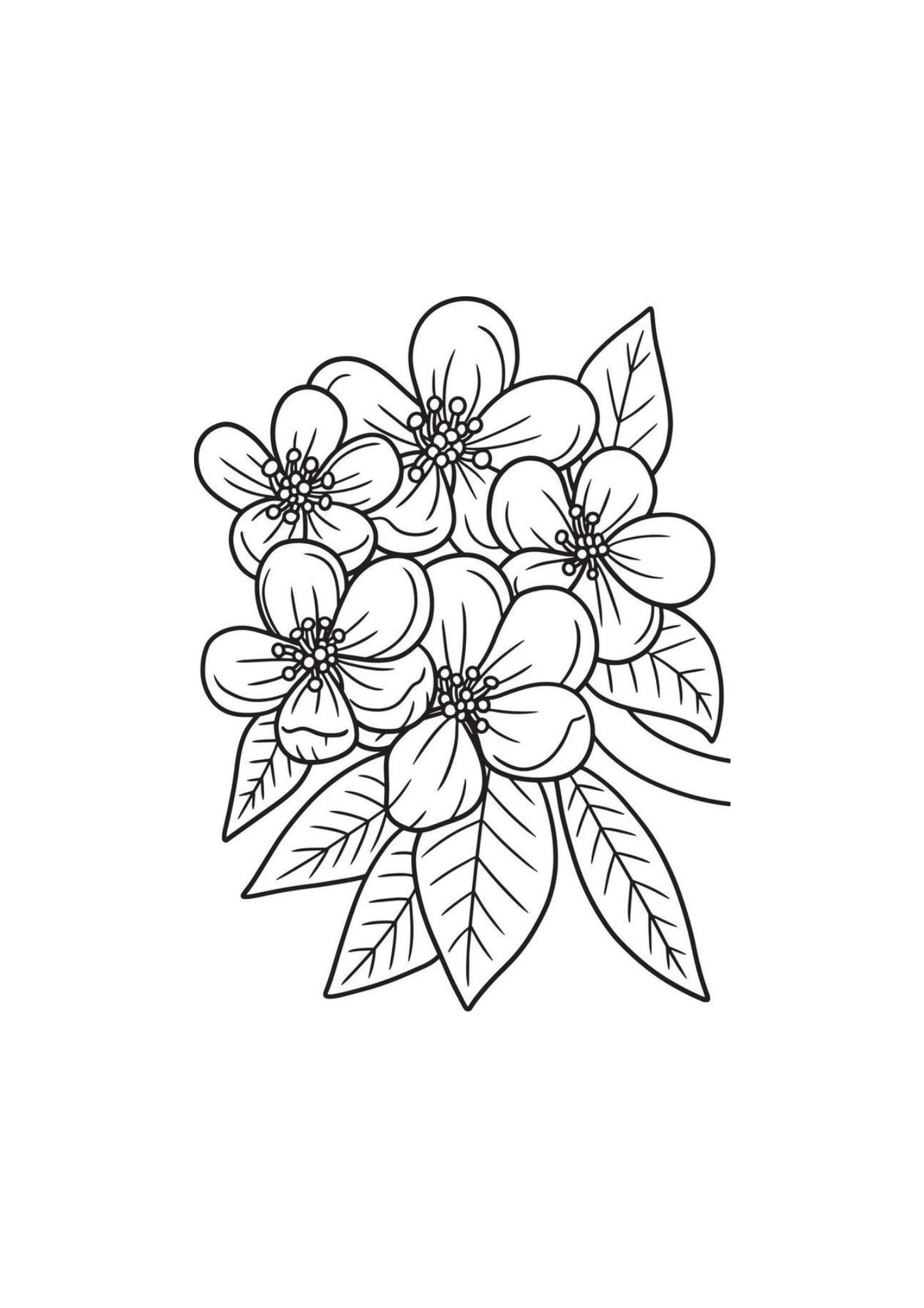 Vibrant Floral Coloring Set