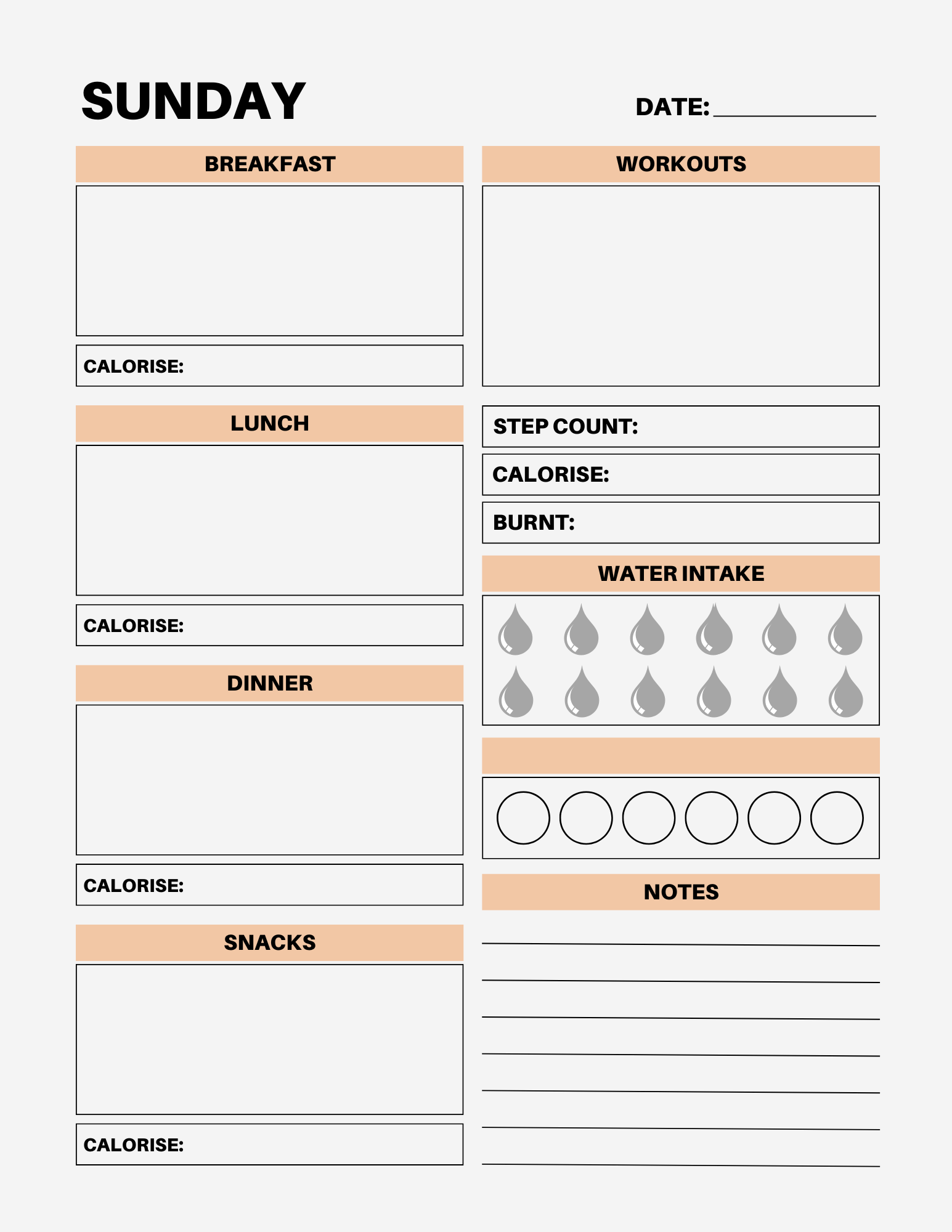 7 Day Color Food Diary