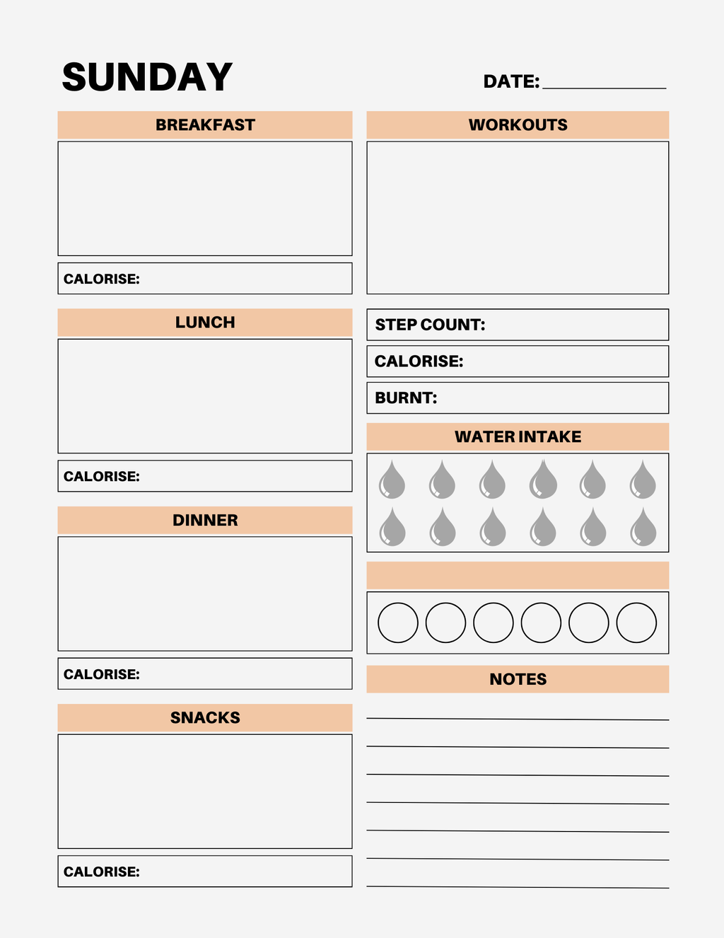 7 Day Color Food Diary