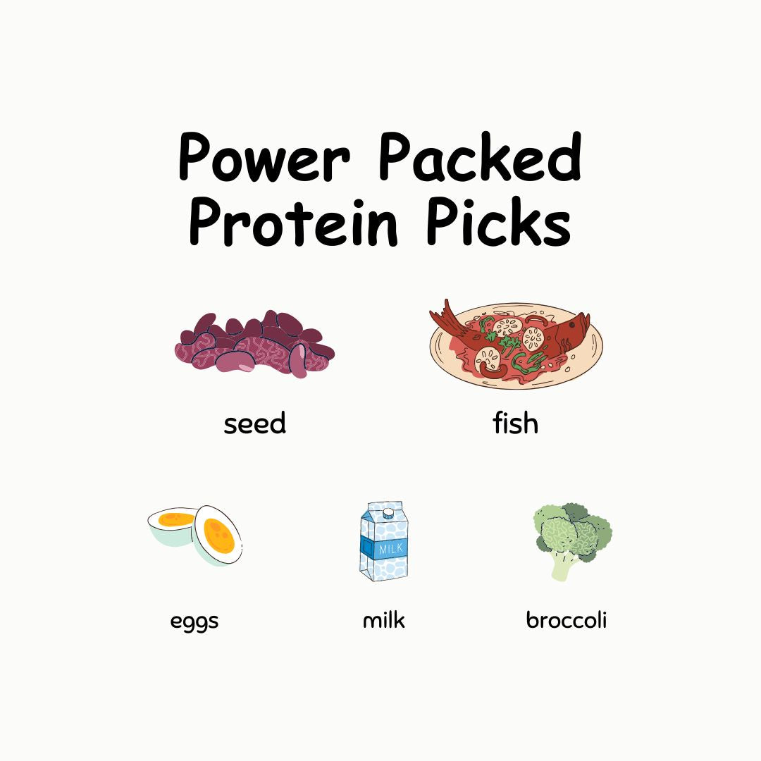 Top Power Packed Protein Foods