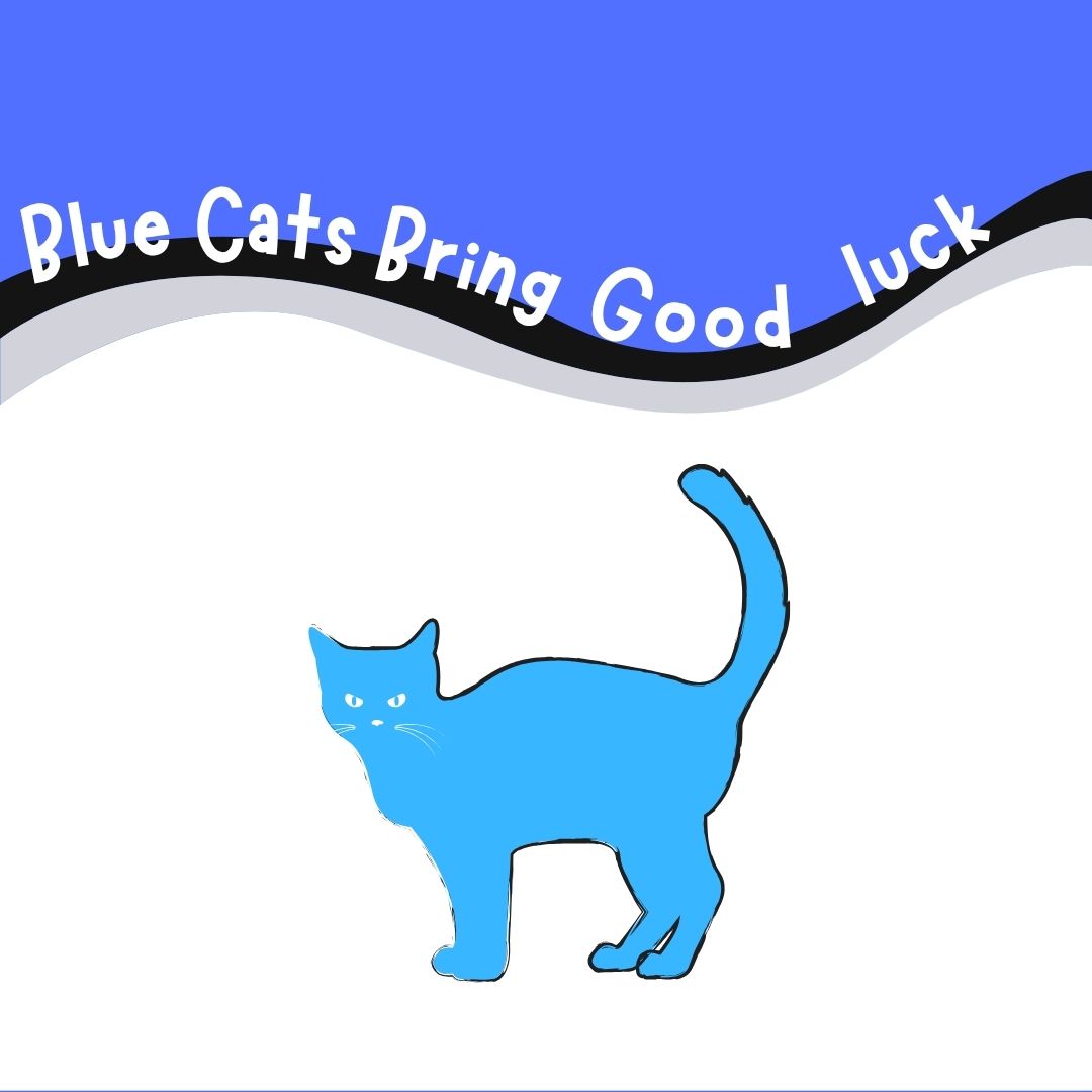 Unlock Good Luck with Blue Cats