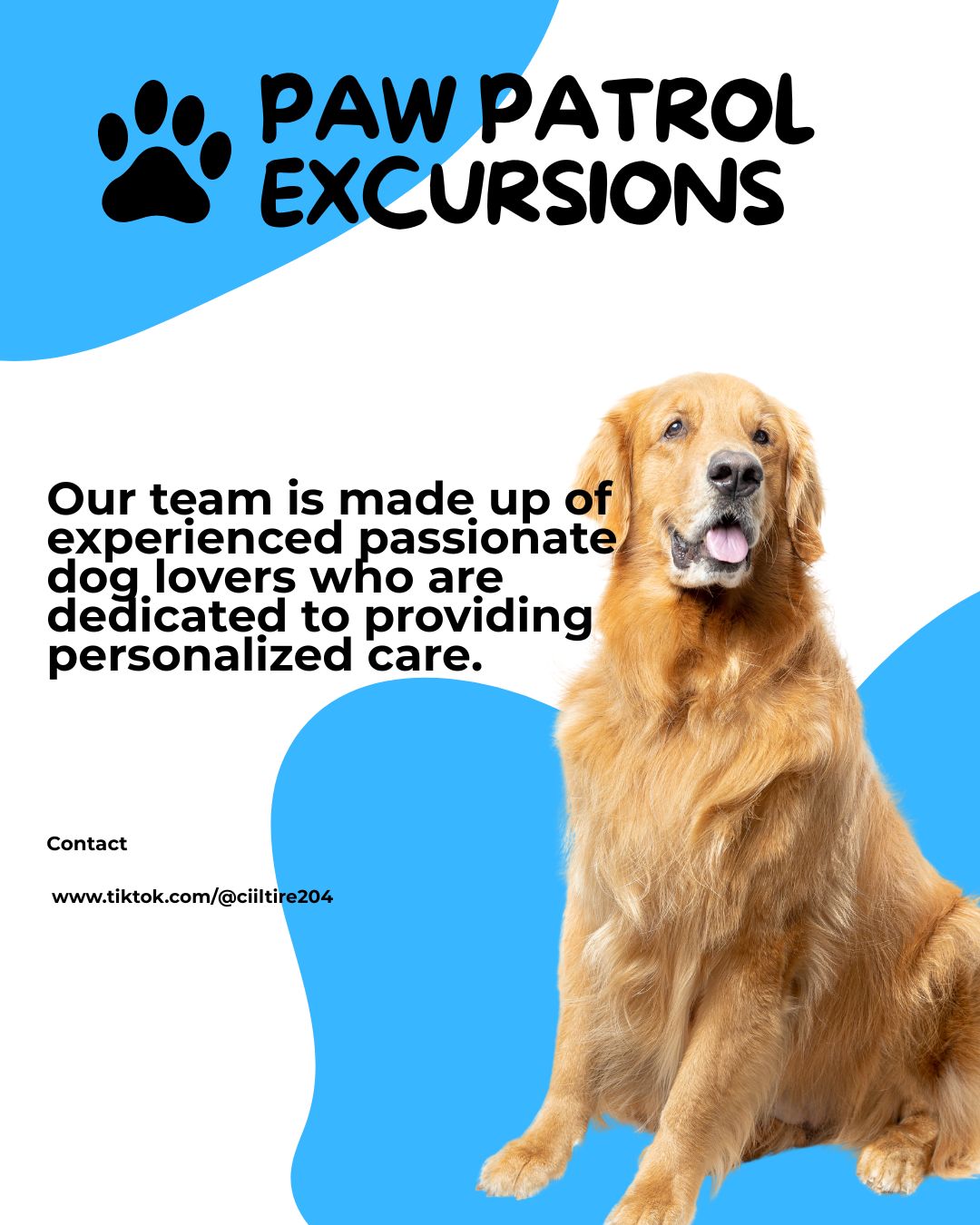 Paw Patrol Excursion Premium Dog Walking