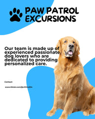 Paw Patrol Excursion Premium Dog Walking