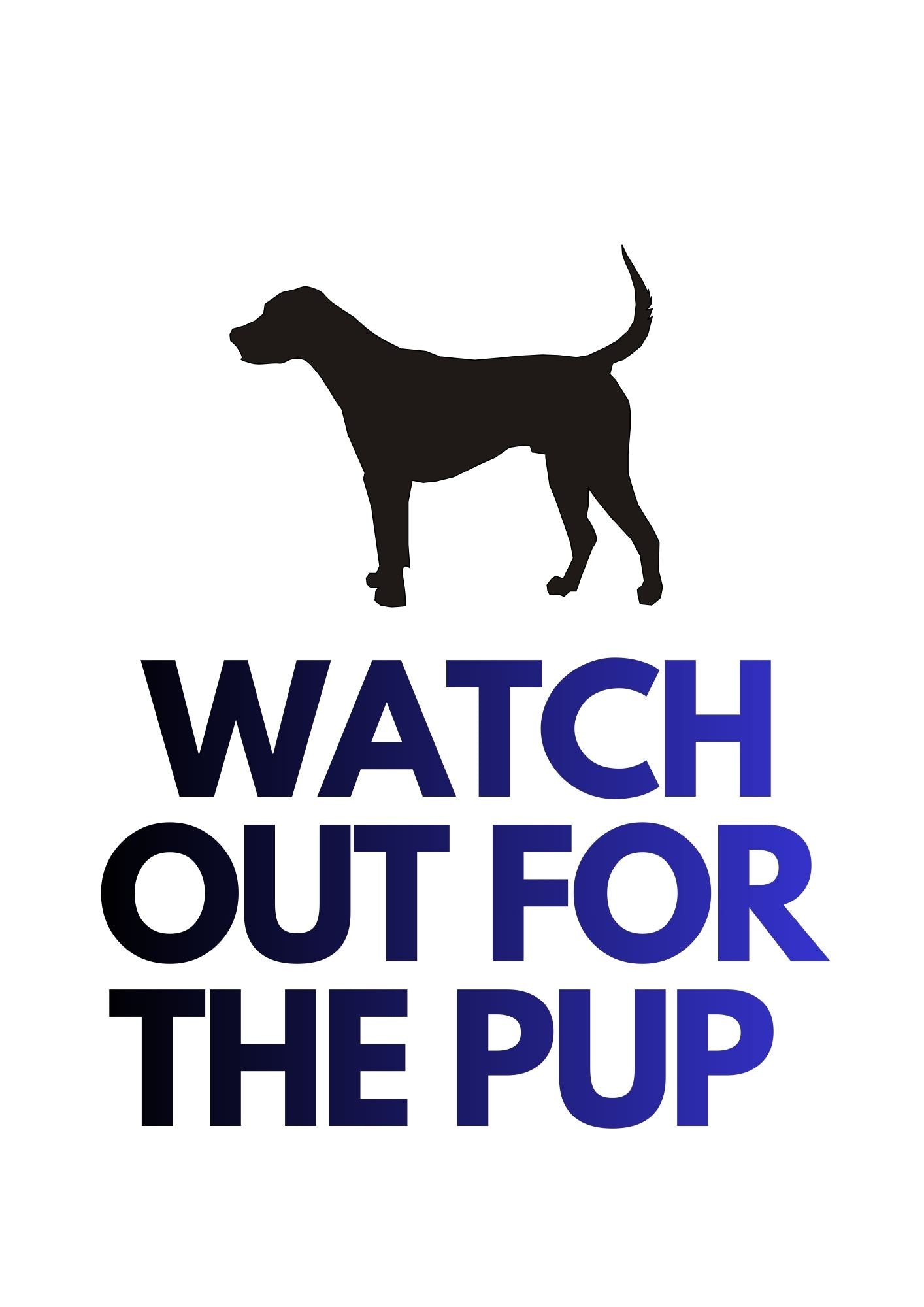 Paws and Play Celebrating the Joy of Our Furry Friends