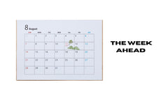 Plan Ahead Your Week in Focus