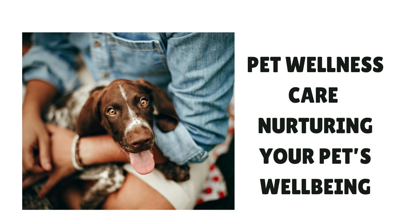 Pet Wellness Care
