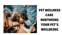 Pet Wellness Care