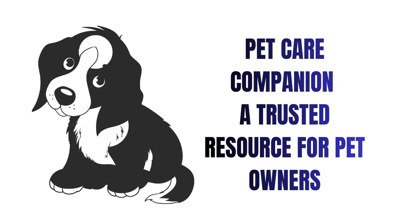 Paws & Wellness Hub