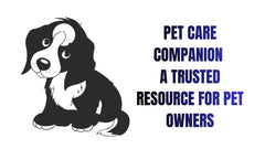 Paws & Wellness Hub