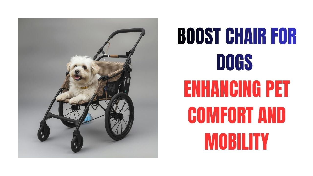 Boost Chair for Dogs