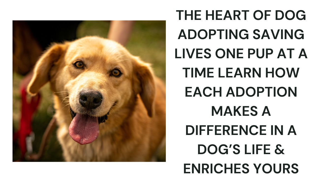 Transforming Lives Through Dog Adoption