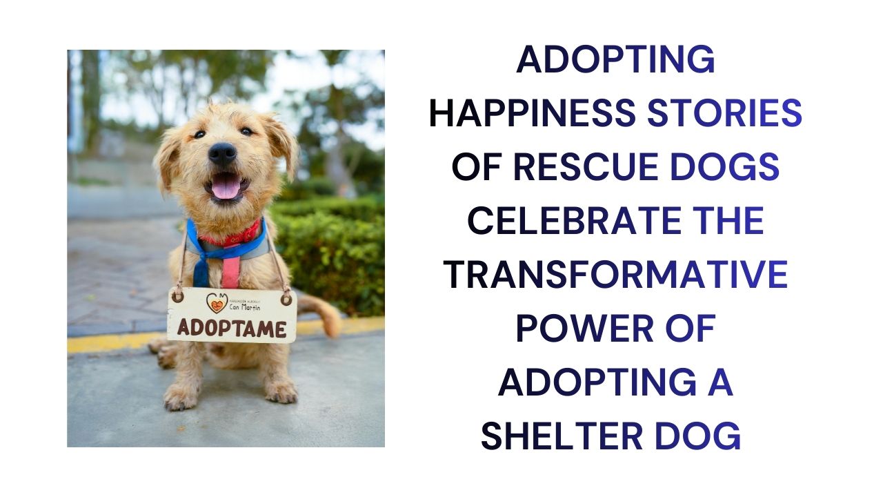 Adopting Happiness Heartwarming Stories of Rescue Dogs
