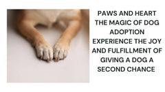Paws and Heart The Magic of Dog Adoption
