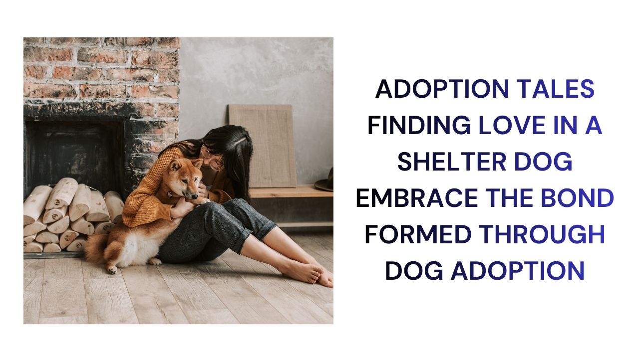 Adoption Tales Love Found in Shelter Dogs
