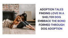 Adoption Tales Love Found in Shelter Dogs