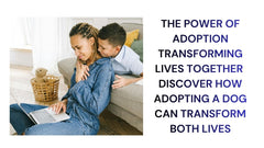 Transforming Lives Through Adoption
