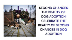Second Chances The Beauty of Dog Adoption