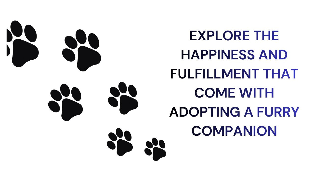 Explore the joy of Adopting a Furry Companion