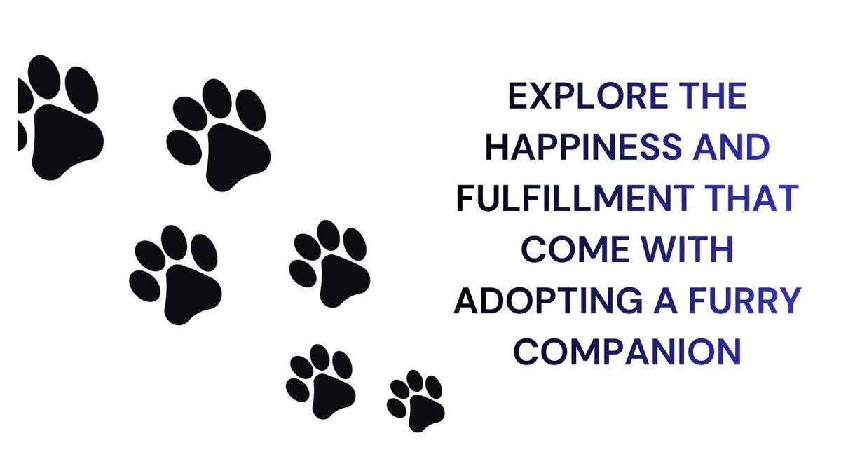 Explore the joy of Adopting a Furry Companion