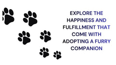 Explore the joy of Adopting a Furry Companion