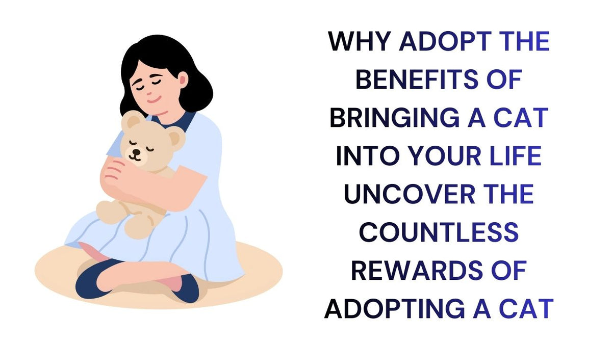 Why Adopt The Rewards of Bringing a Cat into Your Life