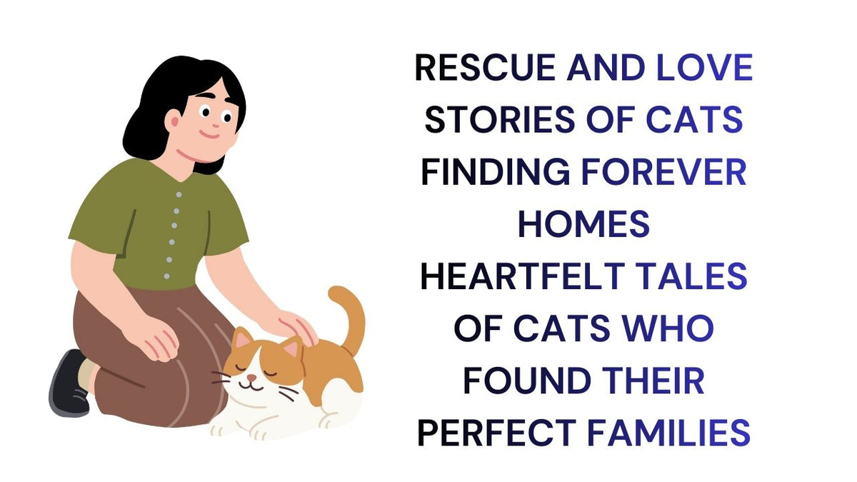 Rescue and Love Heartfelt Cat Adoption Stories