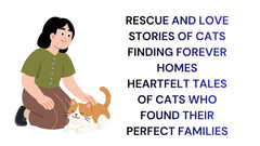 Rescue and Love Heartfelt Cat Adoption Stories