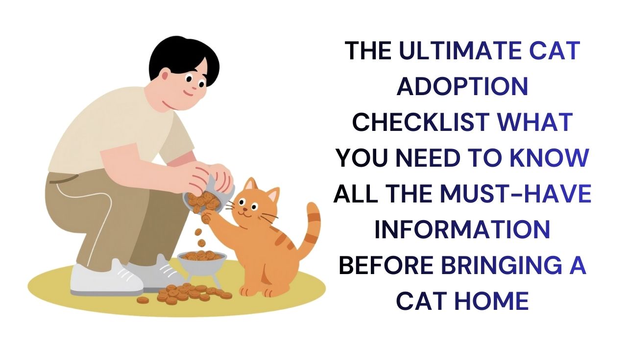 The Ultimate Cat Adoption Checklist