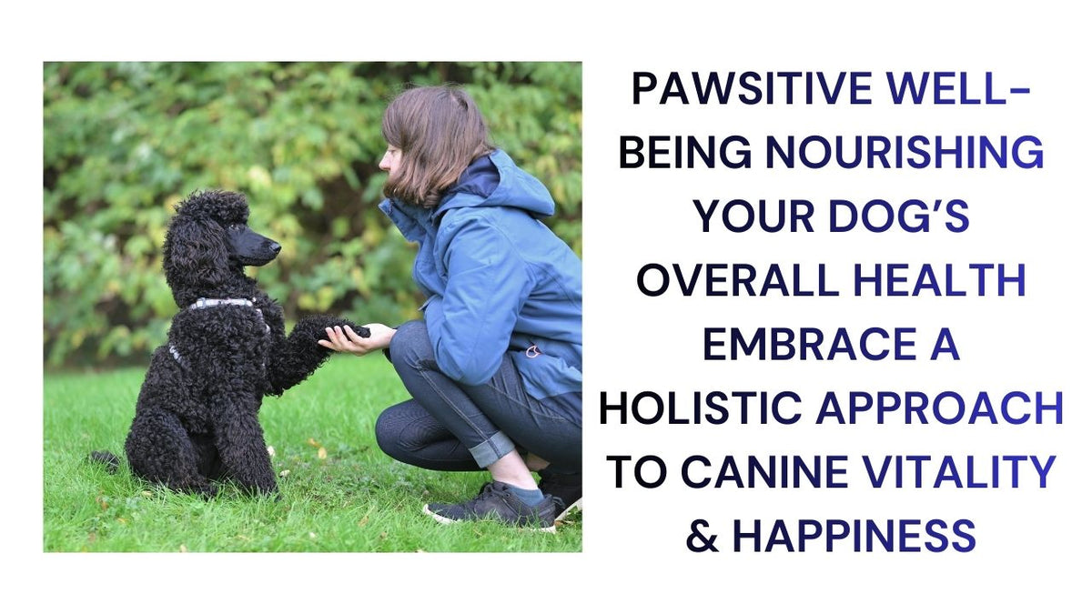 Pawsitive Well-Being Nourishing Your Dog's Overall Health