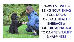 Pawsitive Well-Being Nourishing Your Dog's Overall Health