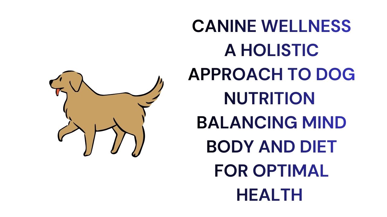 Holistic Canine Wellness