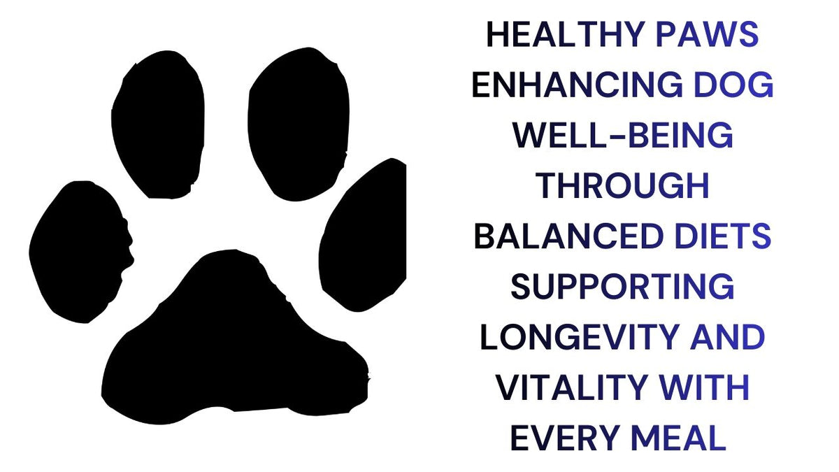 Healthy Paws Enhancing Canine Well-Being