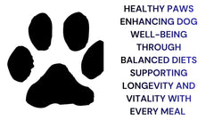 Healthy Paws Enhancing Canine Well-Being