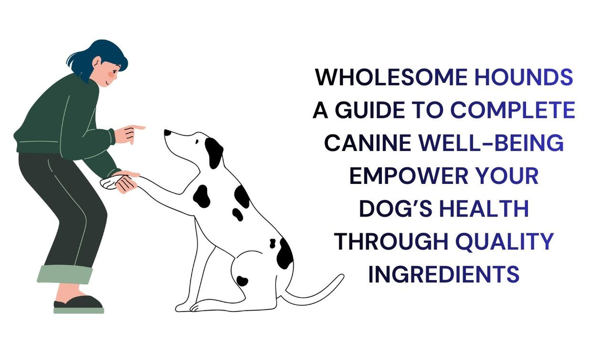 Wholesome Hounds Guide