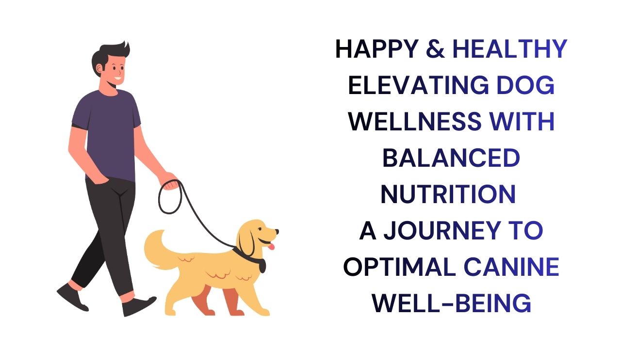 Elevating Dog Wellness