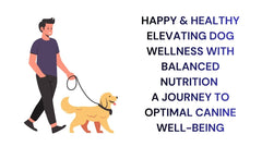 Elevating Dog Wellness